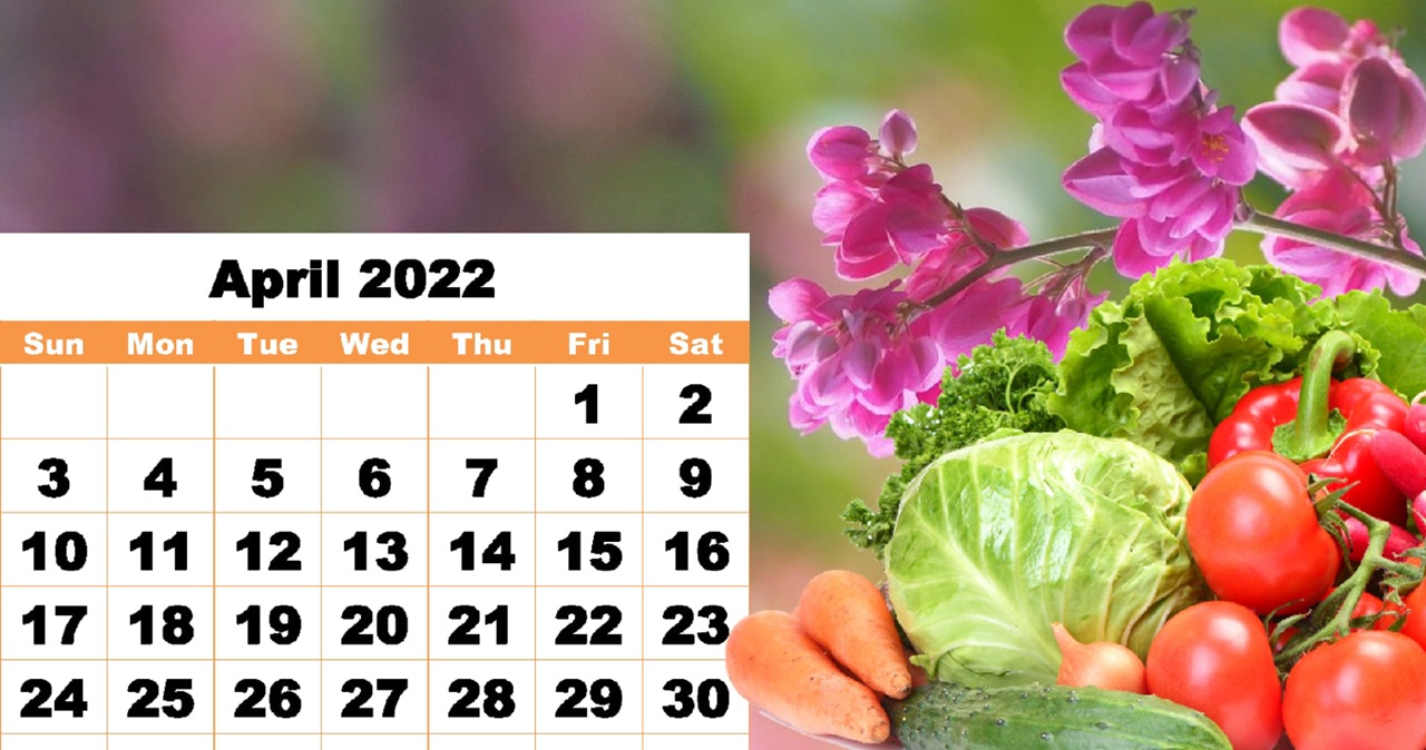 Посевные дни в апреле 2024г